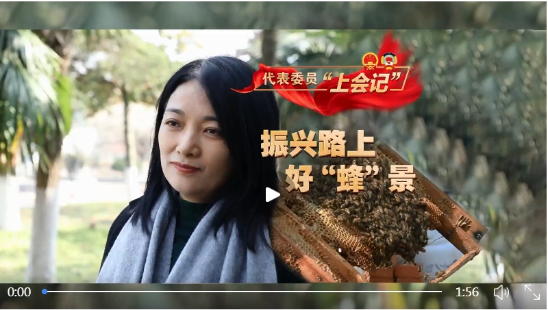 微信截图_20240304114415.png