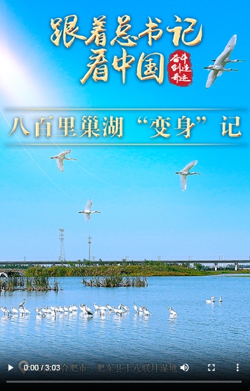 微信截图_20240617174121.png