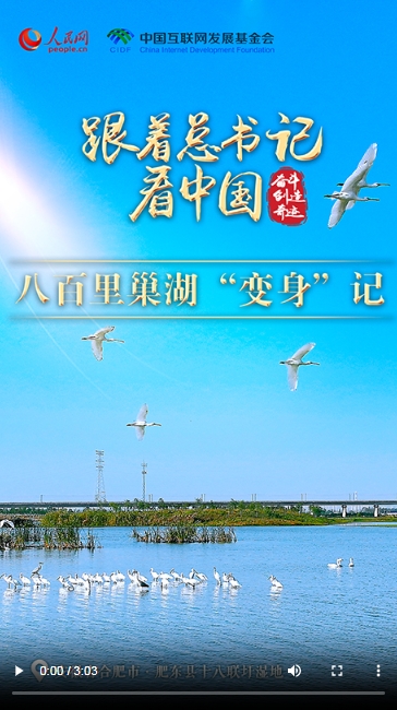 微信截图_20240628142335.png