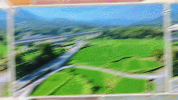 01.gif