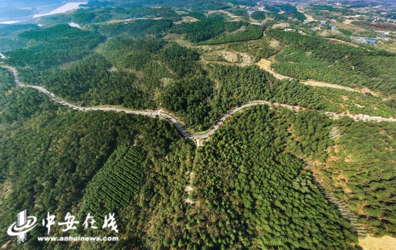 1江淮分水岭风景道航拍.jpg