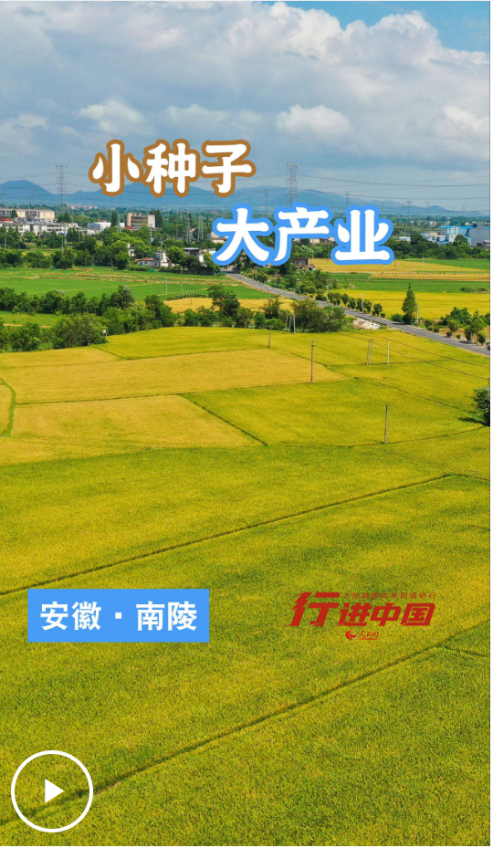 QQ浏览器截图20250809155016.png